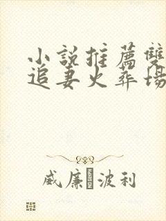 小说推荐双男主追妻火葬场