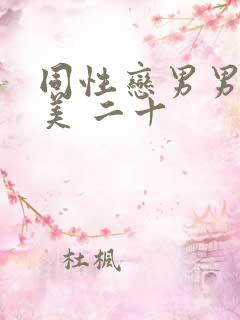 同性恋男男 欧美 二十