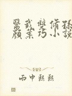 医武双修孙哲朱颜叶巧小说