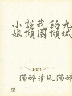 小说我的九个姐姐倾国倾城