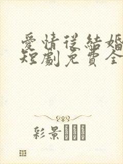 爱情从结婚开始短剧免费全集免费播放