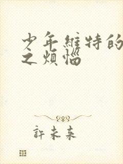 少年维特的烦恼之烦恼