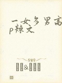 一女多男高hnp辣文