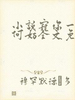 小说宠你一世又何妨全文免费阅读