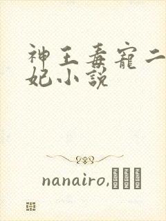神王毒宠二嫁王妃小说