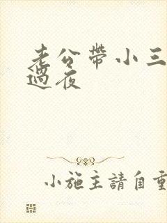 老公带小三回家过夜