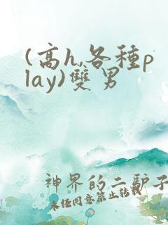 (高h,各种play)双男