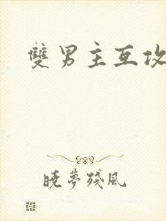 双男主互攻