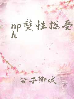 np双性总受高h