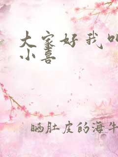 大家好 我叫林小喜