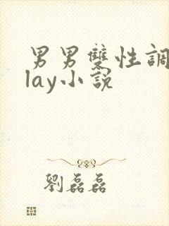 男男双性调教play小说