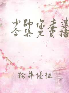 少帅你老婆又跑合集免费播放