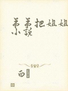 弟弟把姐姐操了小说