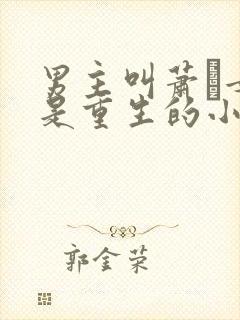 男主叫萧玦女主是重生的小说