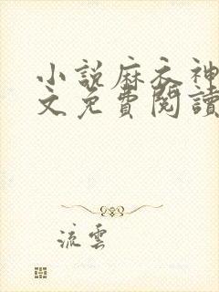 小说麻衣神婿全文免费阅读