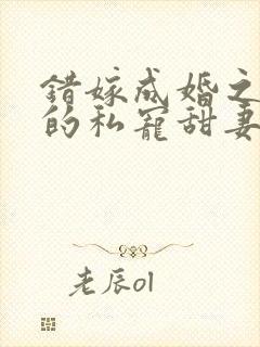 错嫁成婚之总裁的私宠甜妻 小说