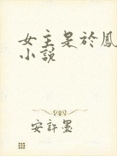 女主是于凤至的小说