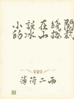 小说在线阅读我的冰山总裁老婆