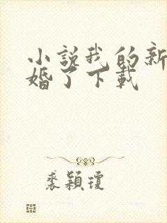 小说我的新郎逃婚了下载