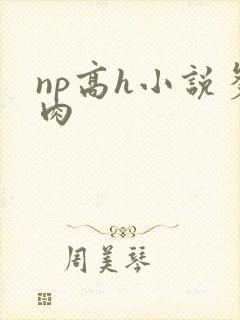 np高h小说多肉