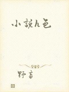 小说h色