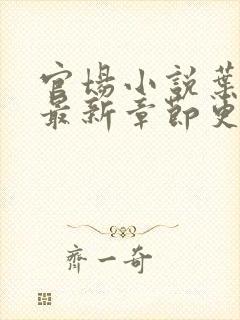 官场小说叶平宇最新章节更新