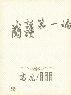 小说第一娇全文阅读