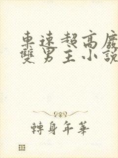 车速超高废文的双男主小说推荐