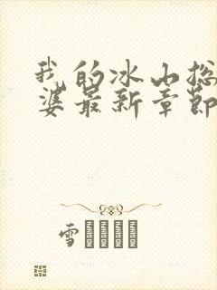 我的冰山总裁老婆最新章节目录