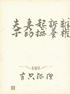 夫妻起诉离婚孩子的抚养权怎么争取