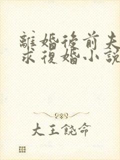 离婚后前夫哭着求复婚小说全文免费阅读全文