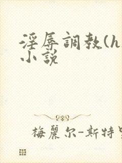 淫辱调教(h)小说