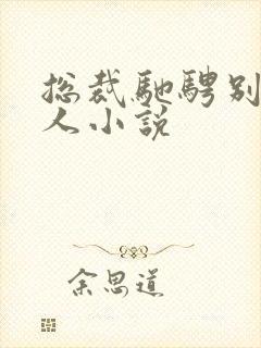 总裁驰骋别的女人小说