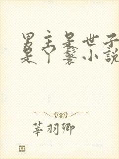 男主是世子女主是丫鬟小说