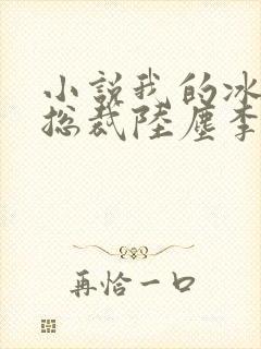 小说我的冰山女总裁陆尘李清瑶