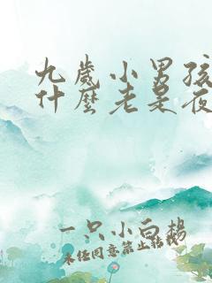 九岁小男孩孩为什么老是夜里尿床