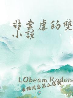 非常虐的双男主小说