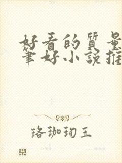 好看的质量高文笔好小说推荐