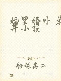 婚里婚外 叶晓井小说