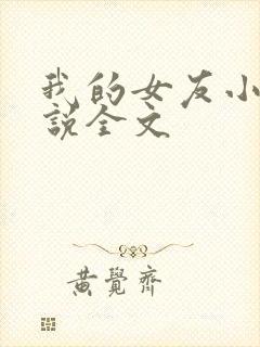 我的女友小莎小说全文