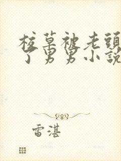 校草被老头c爽了男男小说