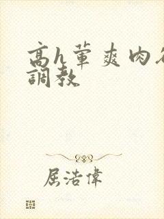 高h荤爽肉欲文调教