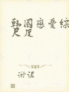 韩国恋爱综艺大尺度