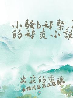 小骚b好紧,日的好爽小说