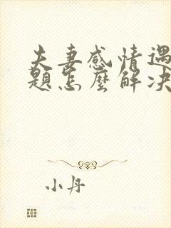 夫妻感情遇到问题怎么解决