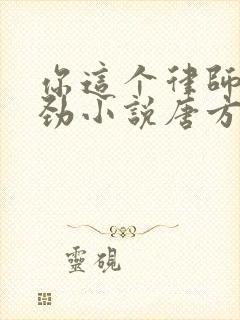 你这个律师不对劲小说唐方镜