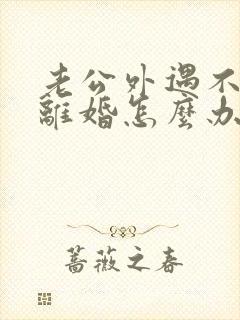 老公外遇不愿意离婚怎么办