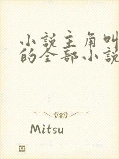 小说主角叫洛天的全部小说