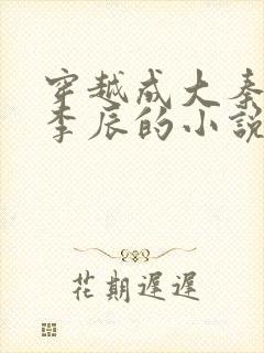 穿越成大秦太子李辰的小说