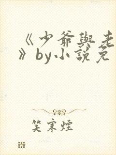 《少爷与老实人》by小说免费阅读